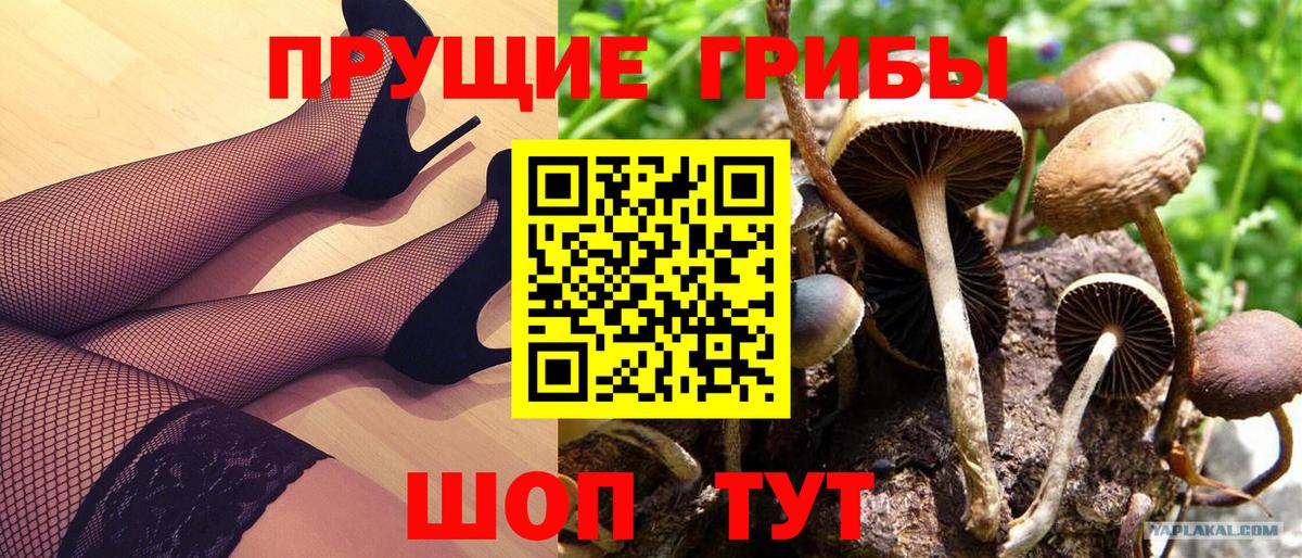 Псилоцибиновые грибы MAGIC MUSHROOMS Рузаевка