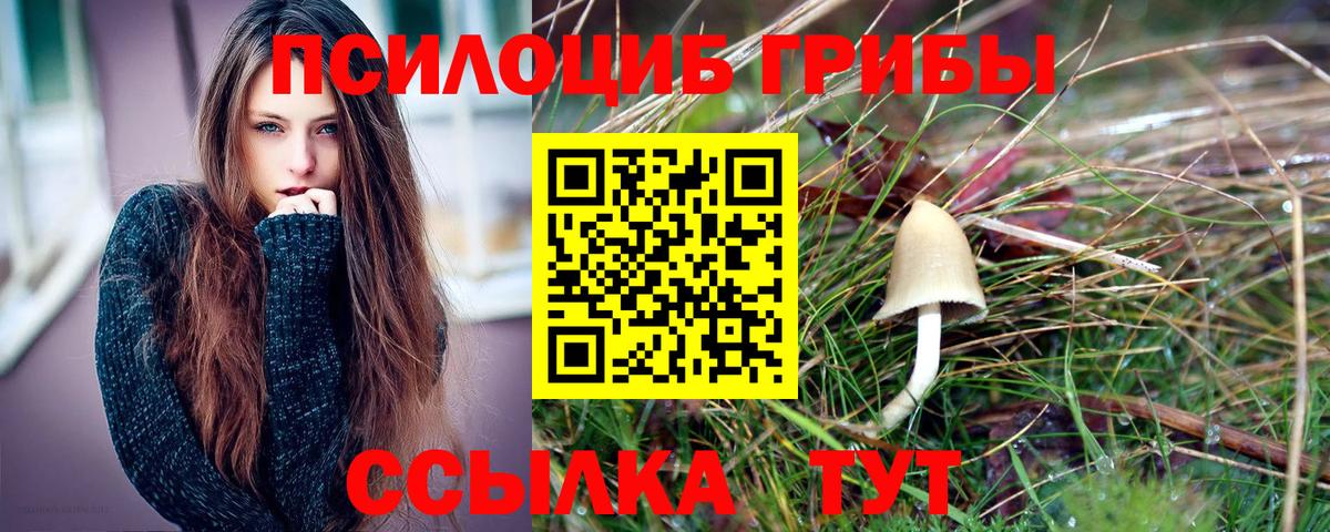 Рузаевка  Галлюциногенные грибы ЛСД  Вход с VPN  Псилоцибиновые грибы Magic Shrooms 