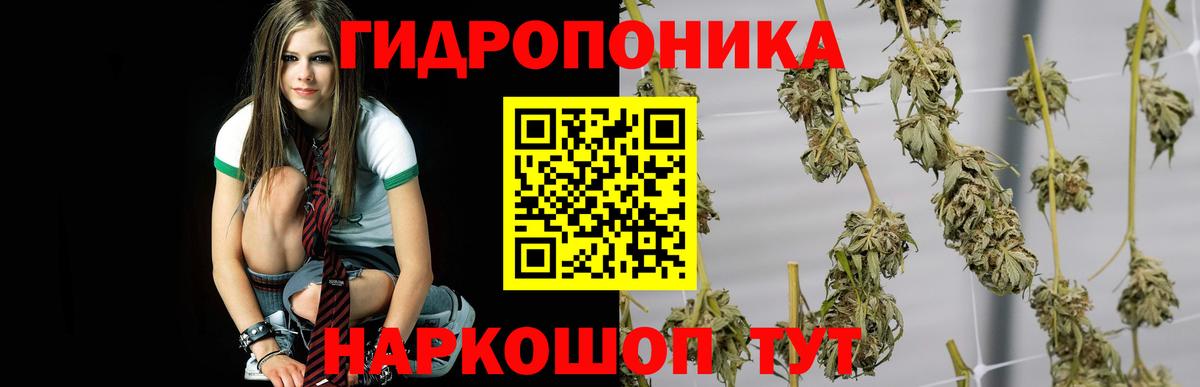 Рузаевка  Каннабис ГИДРОПОН  Бошки Шишки AK-47  Вход с VPN  Шишки марихуана VHQ  Каннабис AK-47 